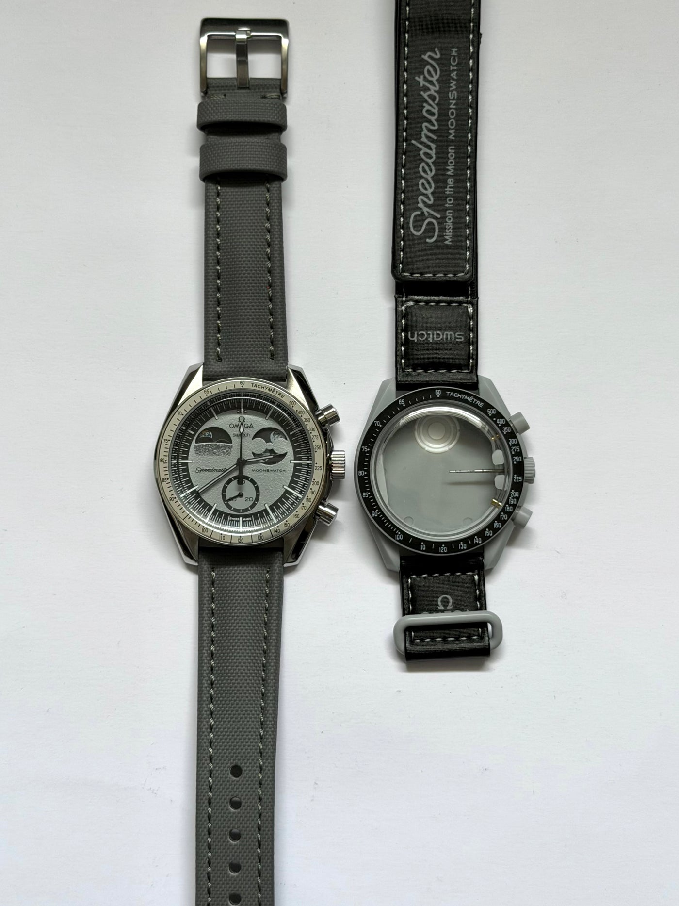 MOD Moonswatch Silver Earth